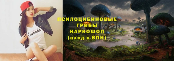 ешки Алзамай