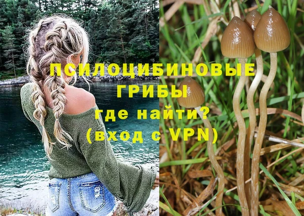 ешки Алзамай