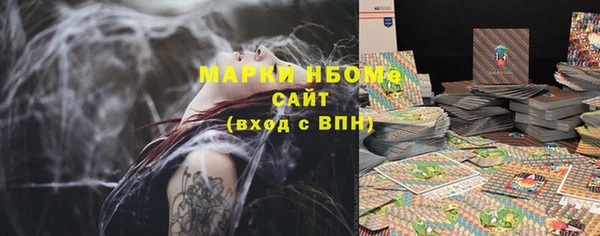 стаф Алексин