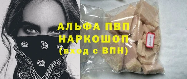 стаф Алексин