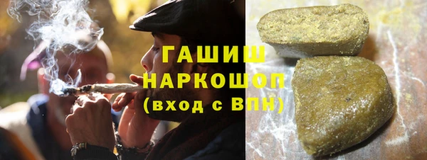 стаф Алексин