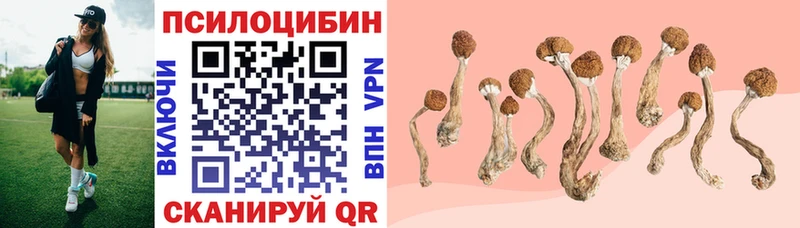 Псилоцибиновые грибы мицелий  Анжеро-Судженск 